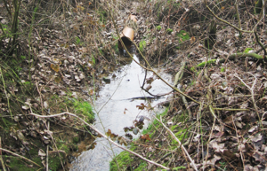 La source de l'Orne